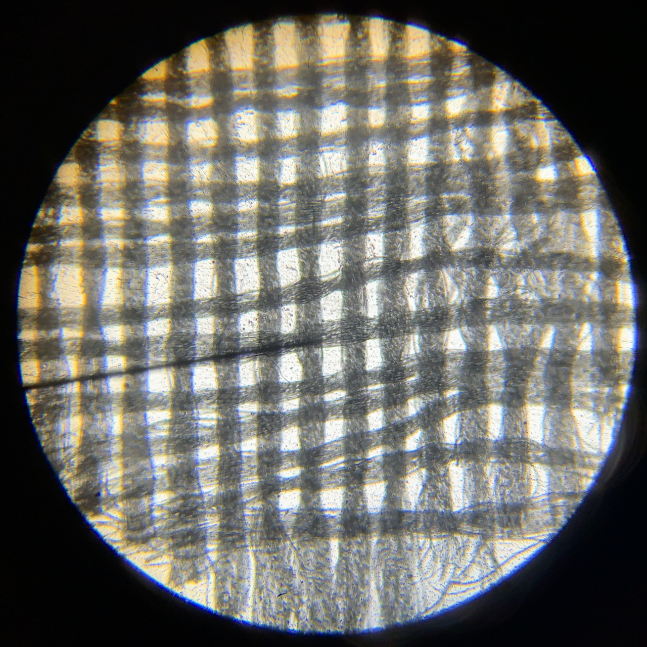 Silk under a microscope > with my hands Dream