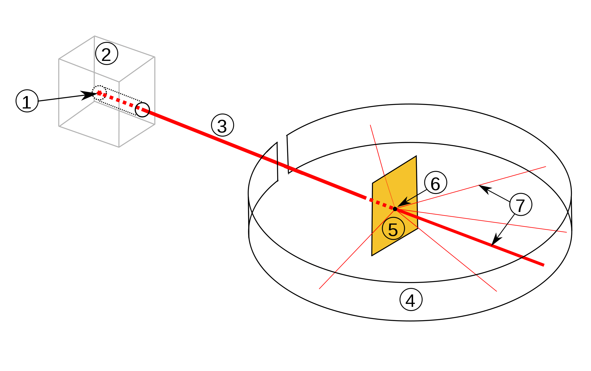 Discovering emptiness why I feel for Ernest Rutherford without bullshit