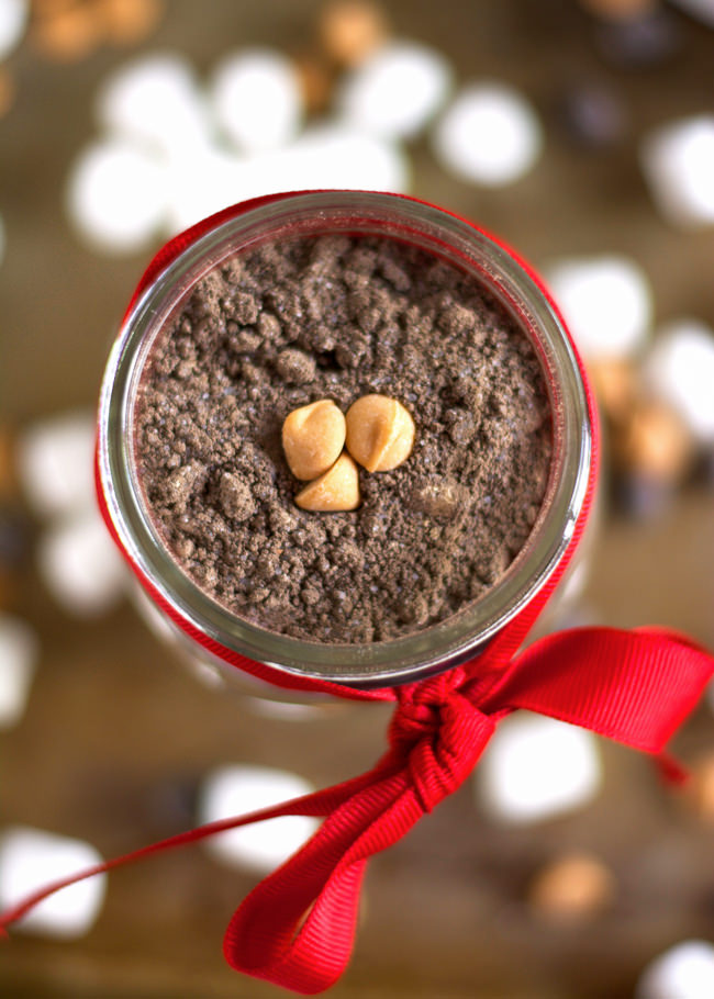 {Skinny} Peanut Butter Hot Cocoa Mix