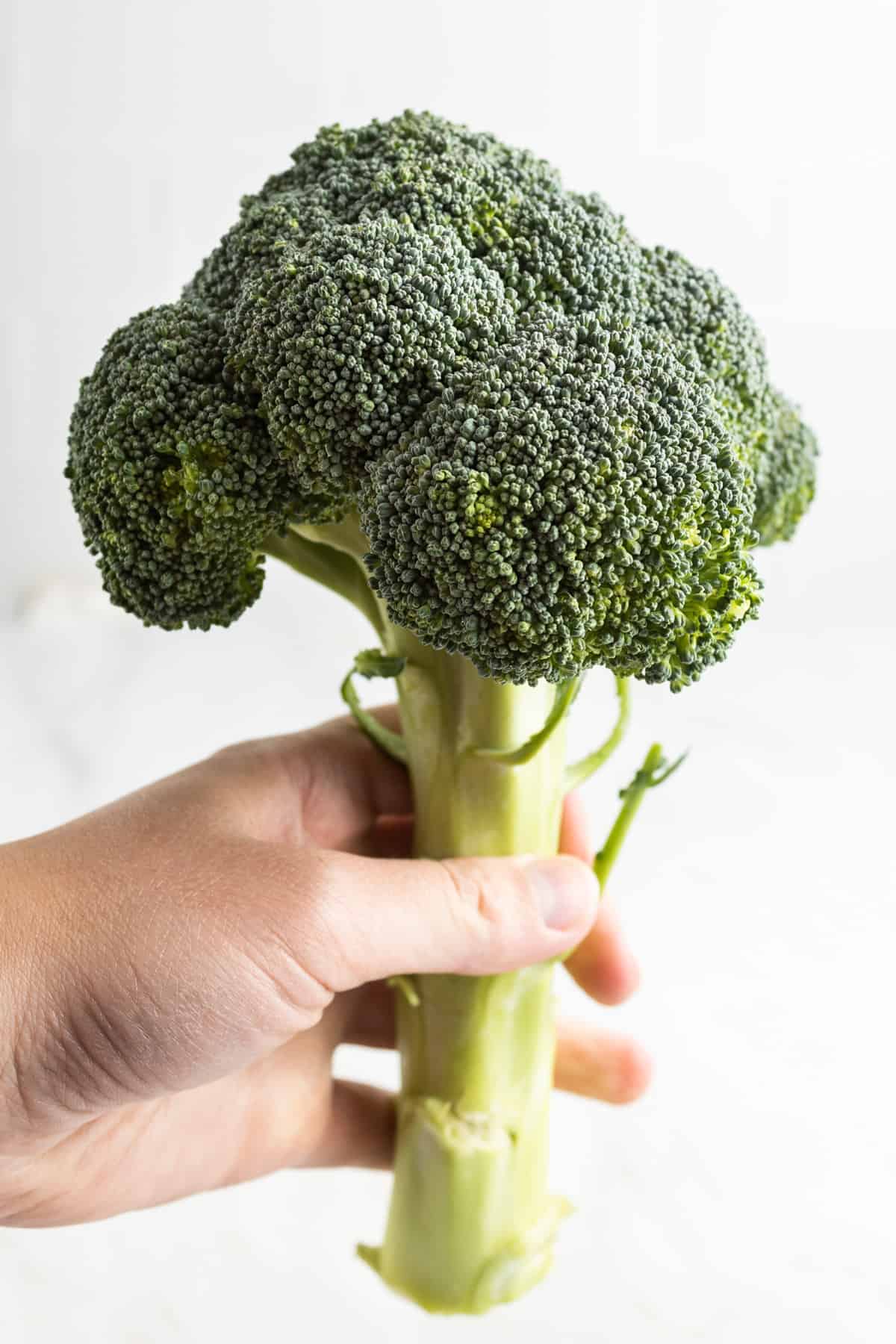 3 Broccoli Baby Food Combinations (Stage 2) Homemade Baby Puree