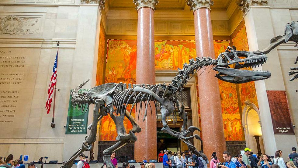 Natural History Museum in Manhattan