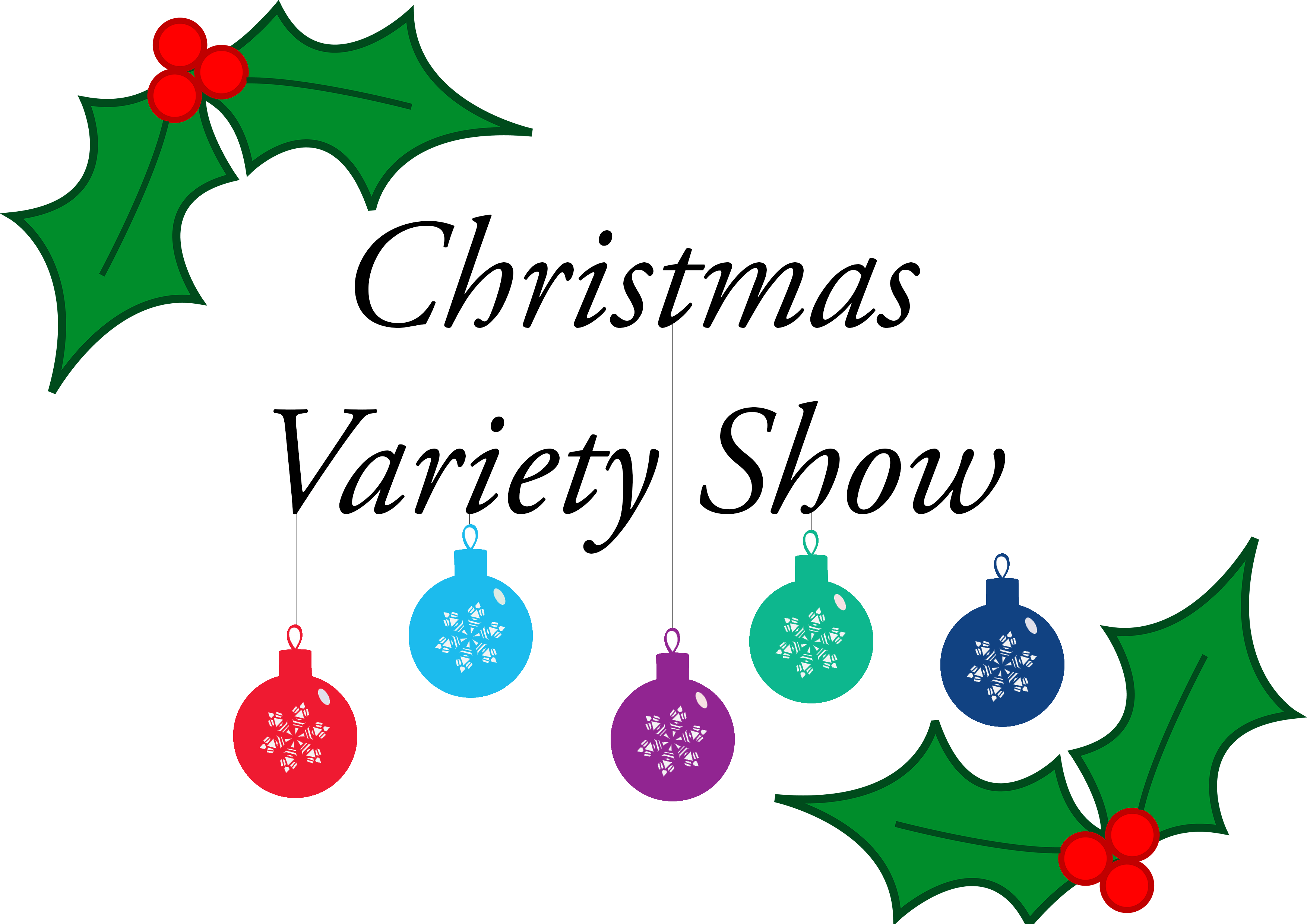 Christmas Variety Show Witton Park Academy