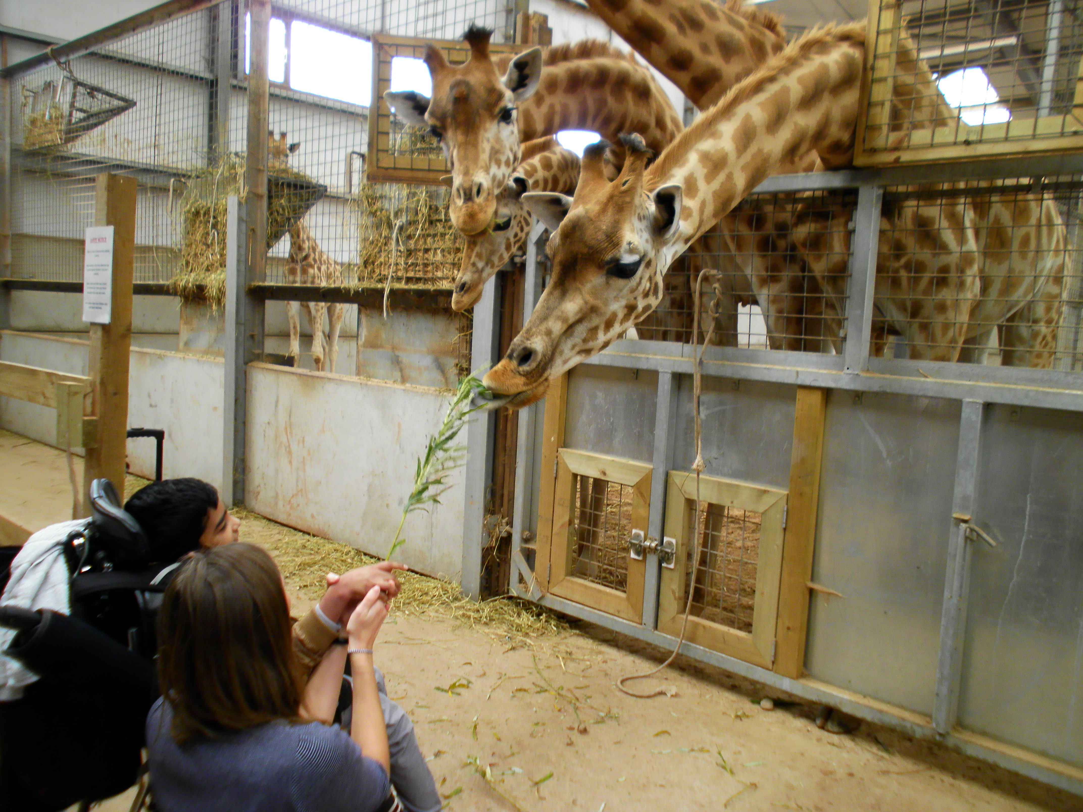 South Lakes Safari Zoo Experience Witton Park Academy