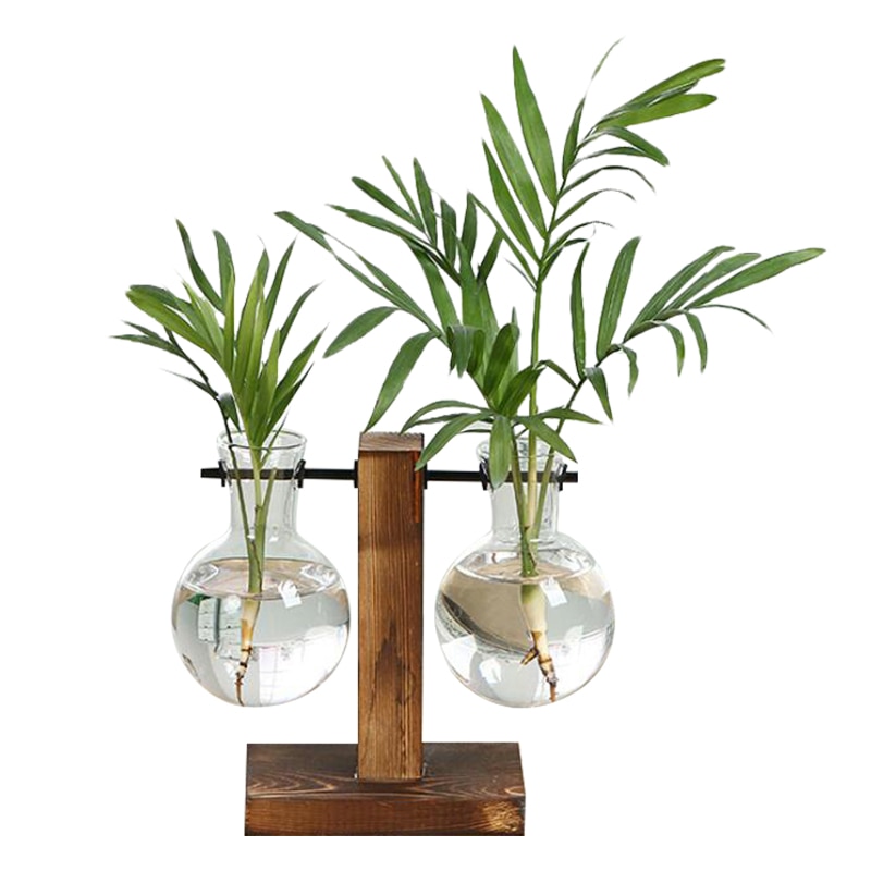 Terrarium hydroponique plante Vases Vintage Pot de fleur