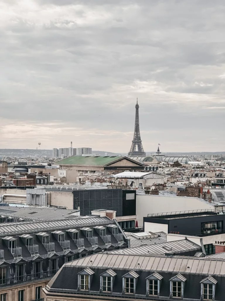 11 Best Rooftop Bars in Paris wit & whimsy