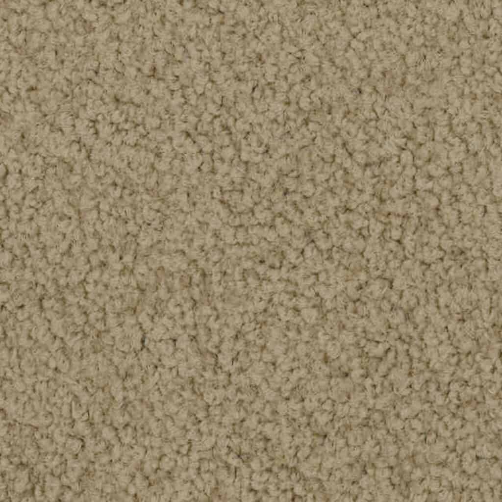 Carpet Archives Wizard Carpets