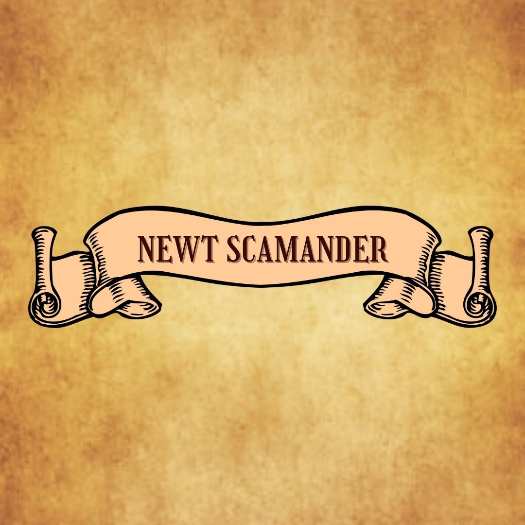 The Newt Scamander Quiz Wizarding Home