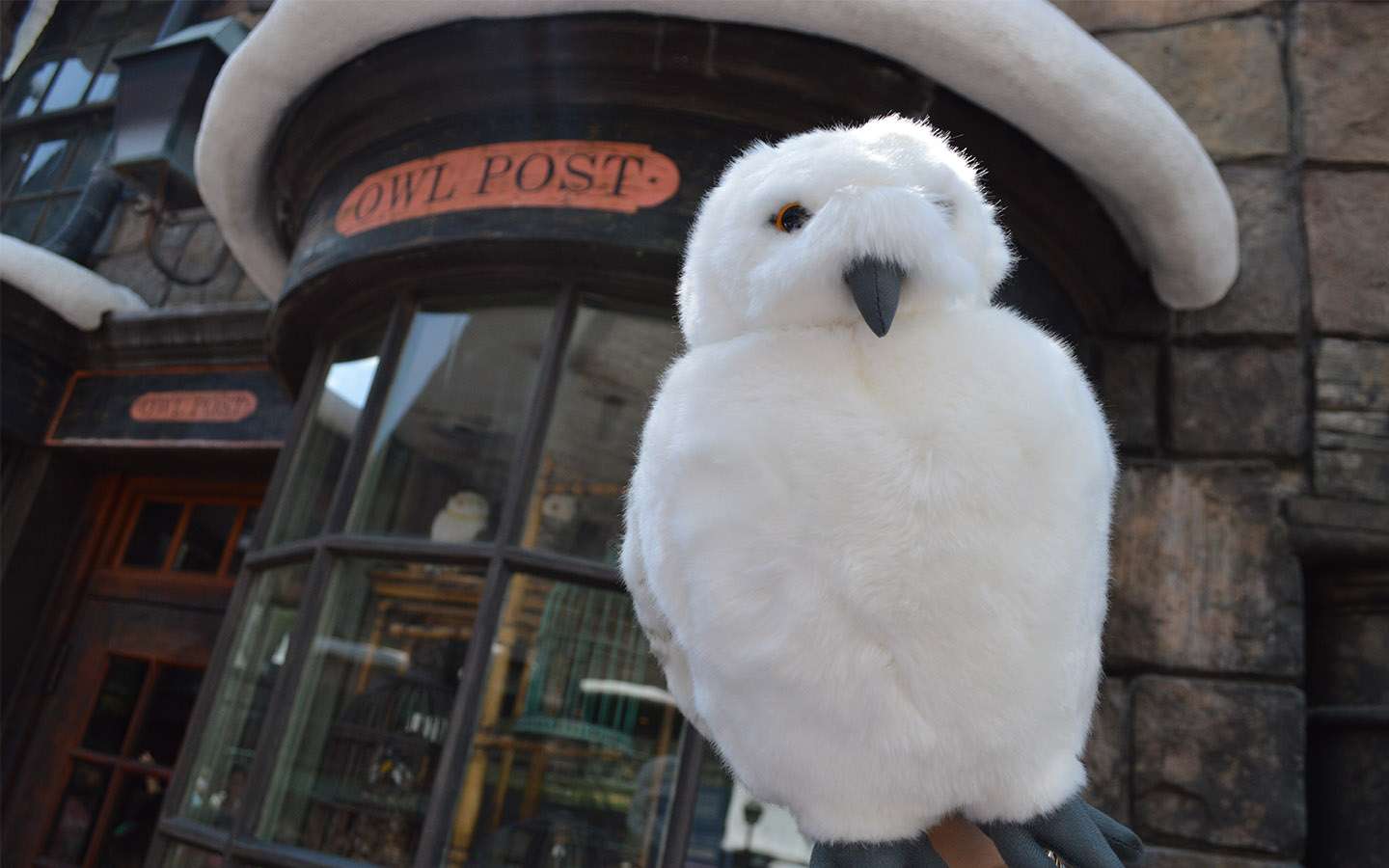 Send Mail from Owl Post in the Wizarding World of Harry Potter