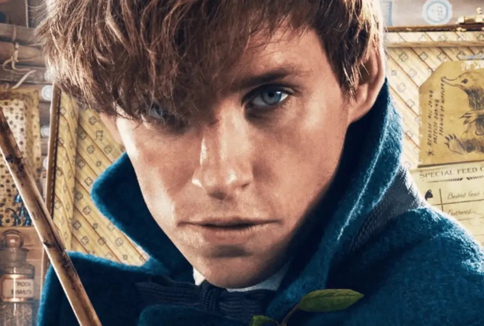 Newt Scamander Character Guide Wizards