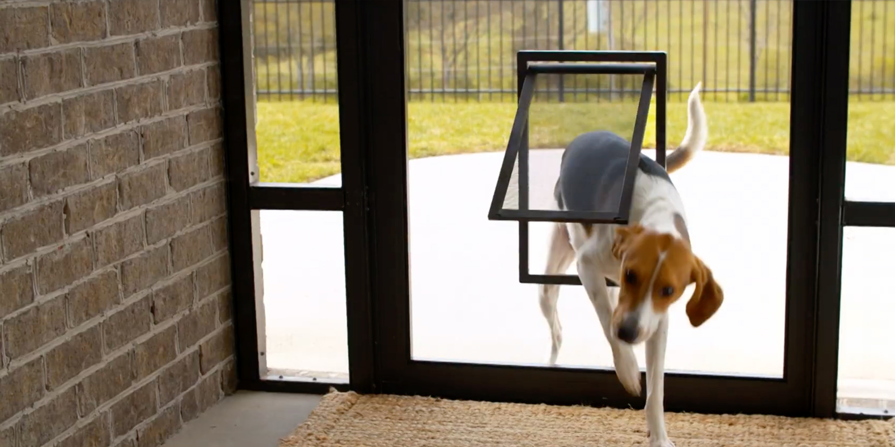 Wizard Victoria Screens, Awnings, Petsafe Screen Doors, Security & More