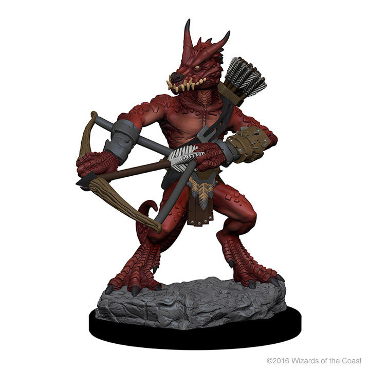 DnD Unpainted Wizkids