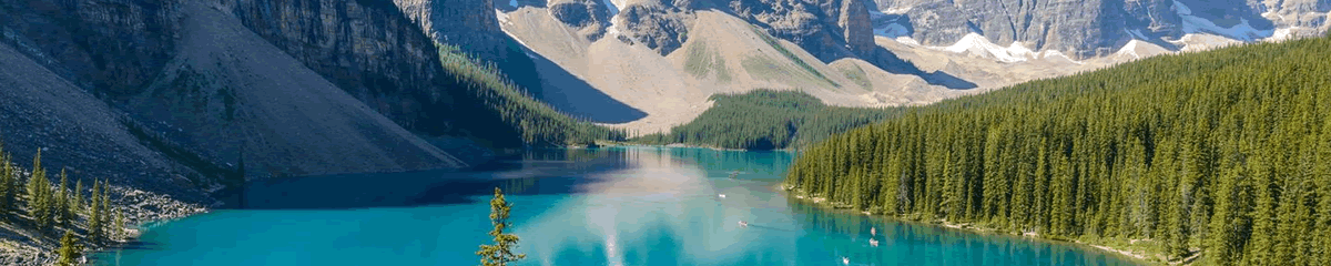 Junior Operations Coordinator in New York, New York