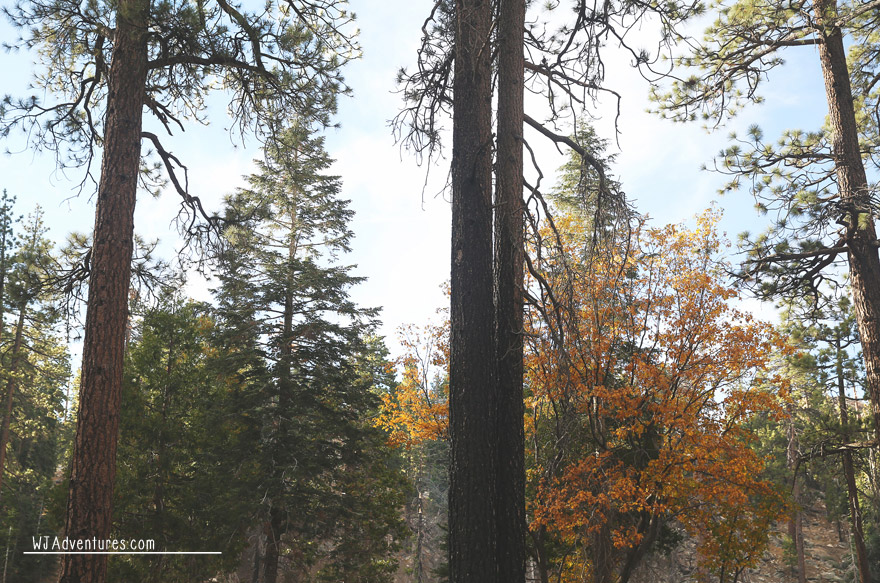 Hanna Flat Campground Jubilee & William Schneider