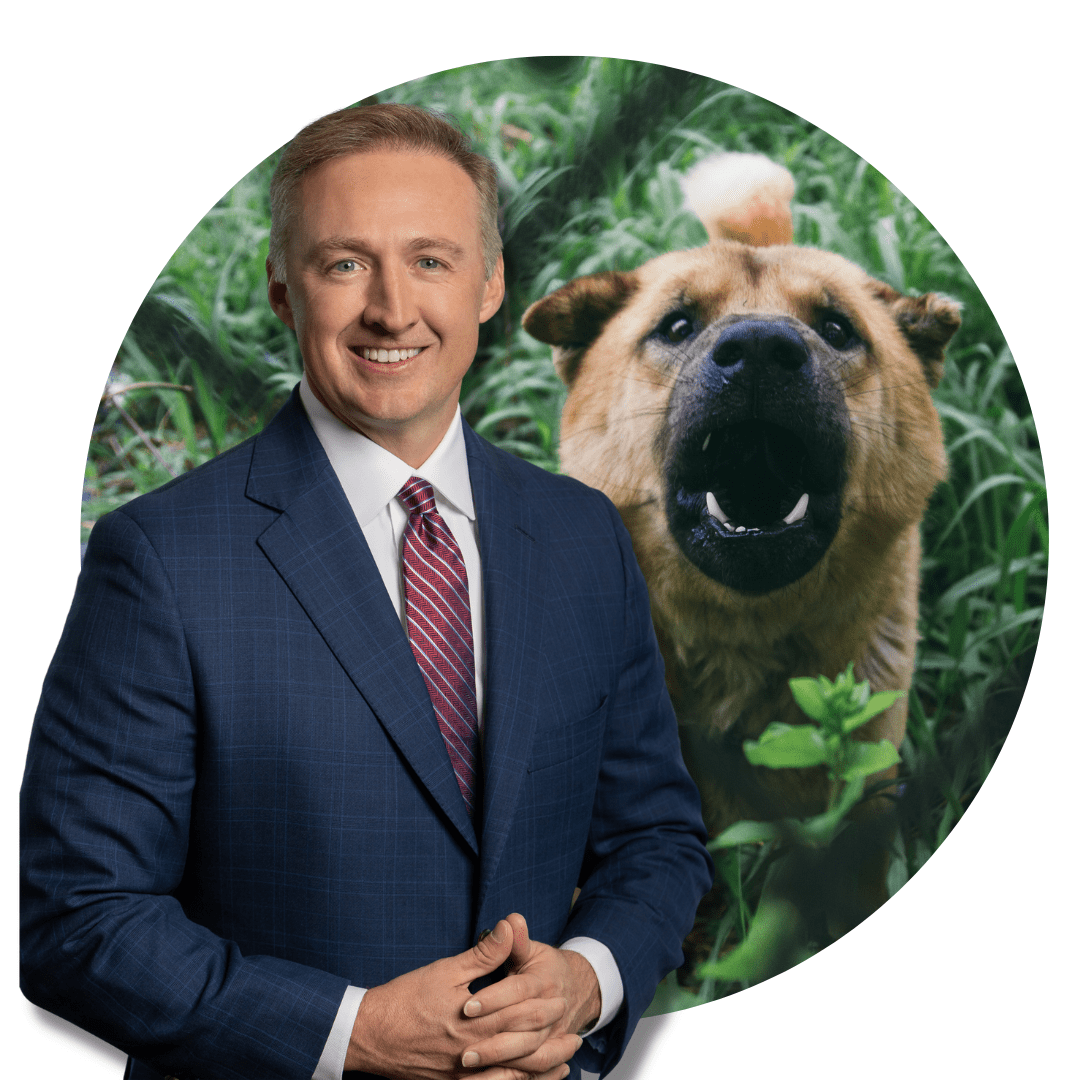 How Should You Dress For A Dog Bite