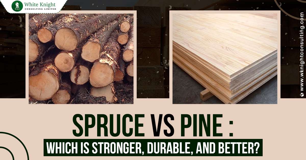 Spruce vs Pine Which is Stronger, Durable, and Better?