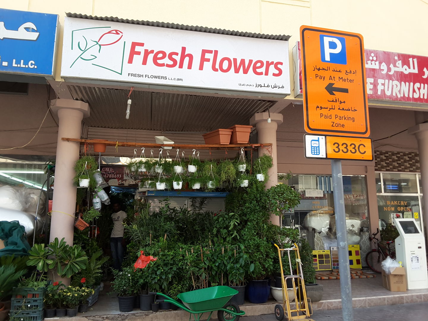 Fresh Flowers(Plants & Gardening Stores) in Al Satwa, Dubai HiDubai