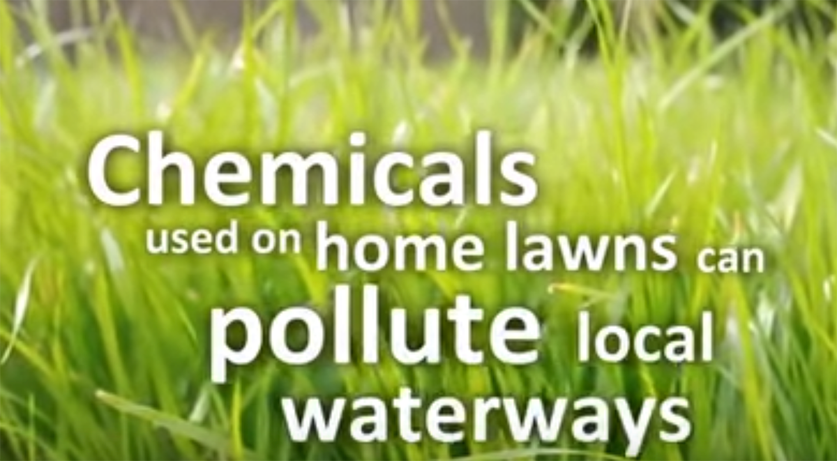 Index Official site of the Wonder Lake Master Property Owners