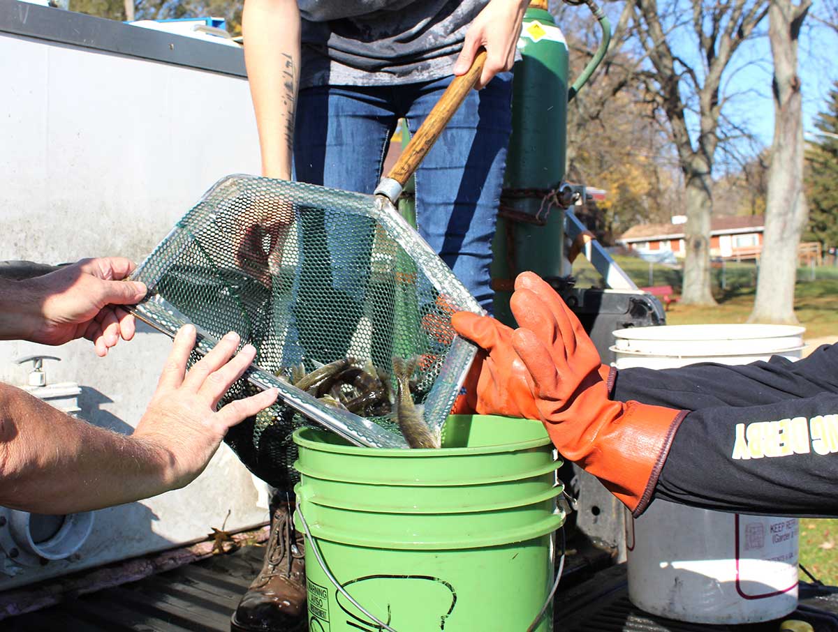 WLSC Official site of the Wonder Lake Master Property Owners