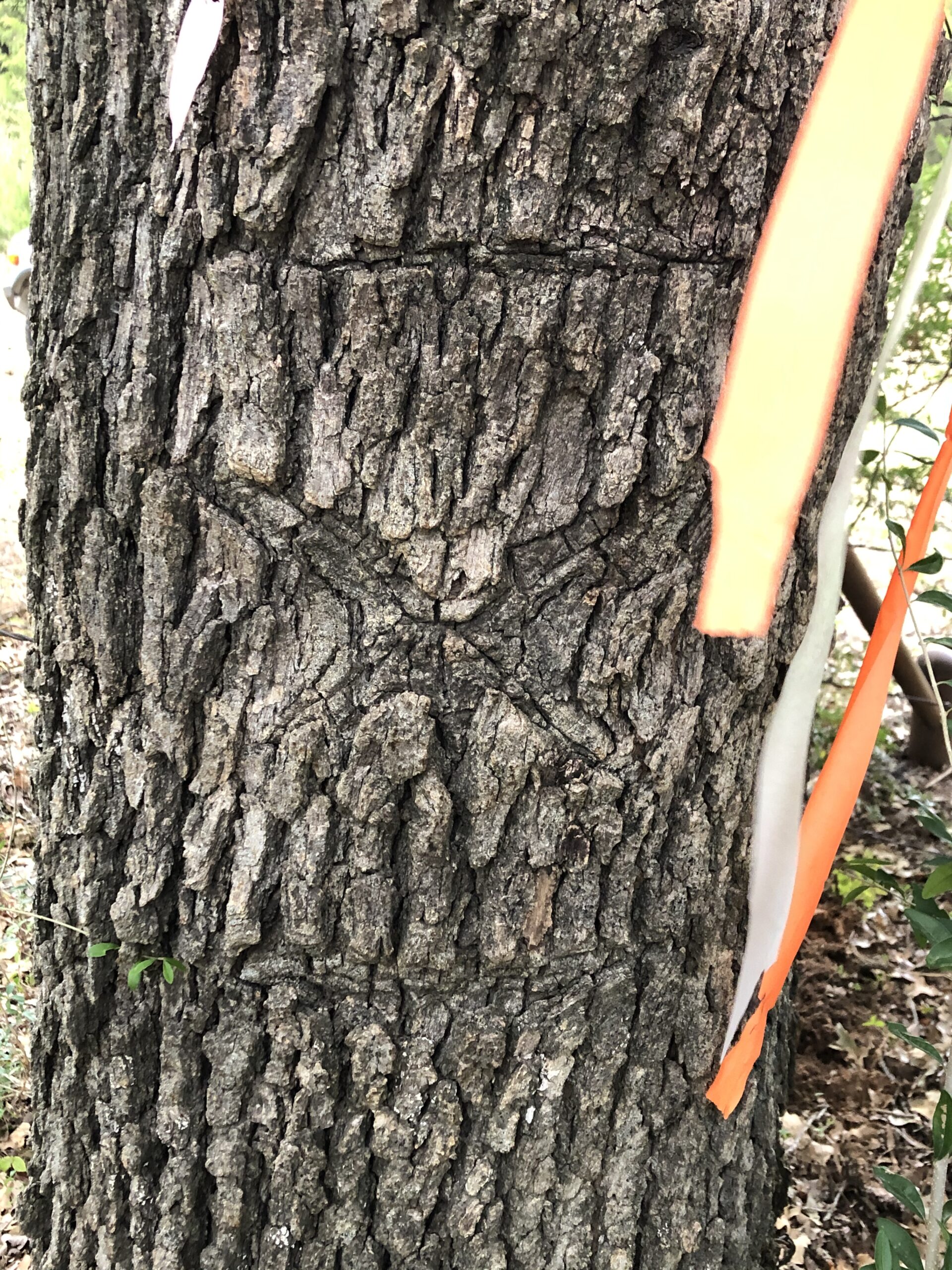 Walters Land Surveying Company Gallery