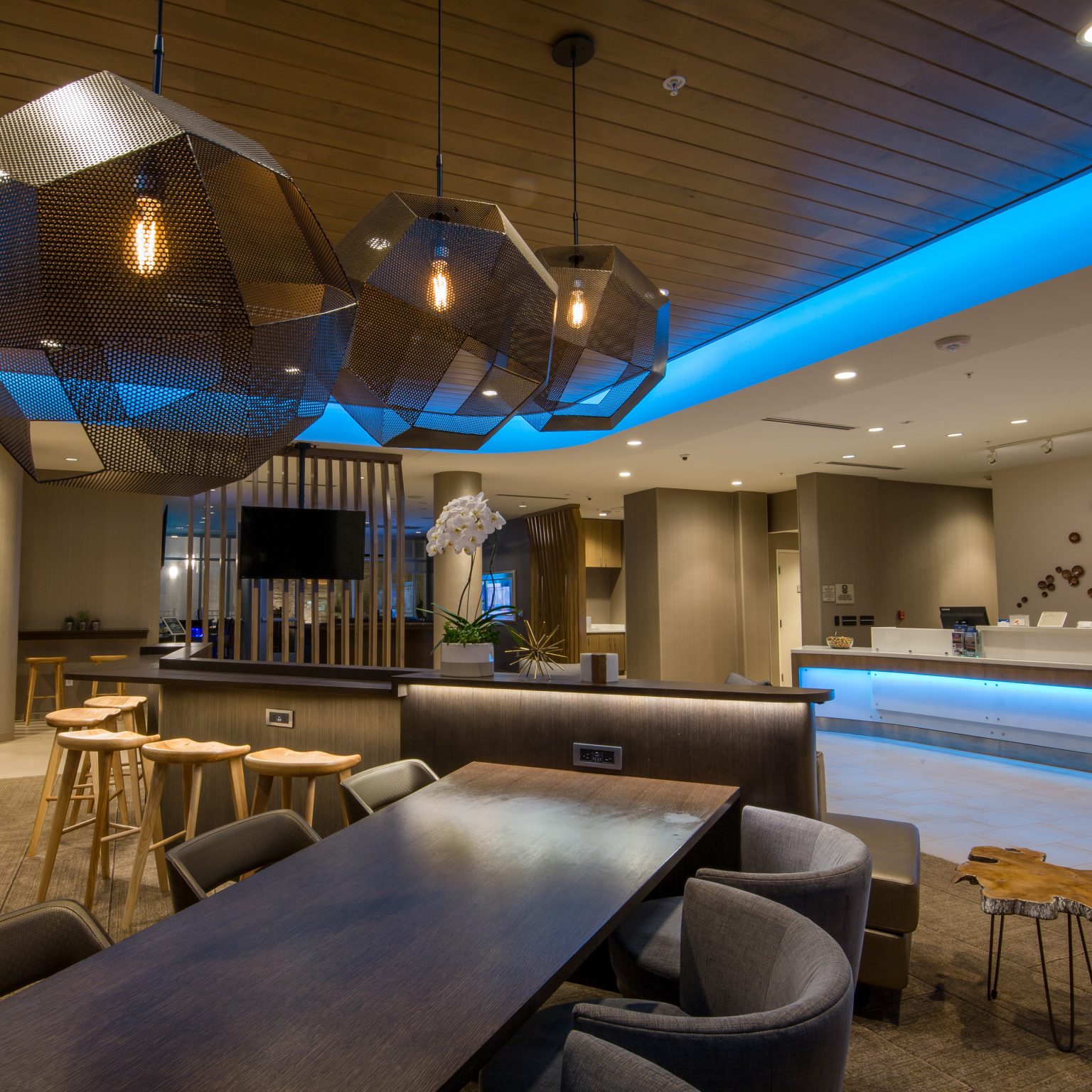 Commercial LED Lighting WLS Specialty Lighting