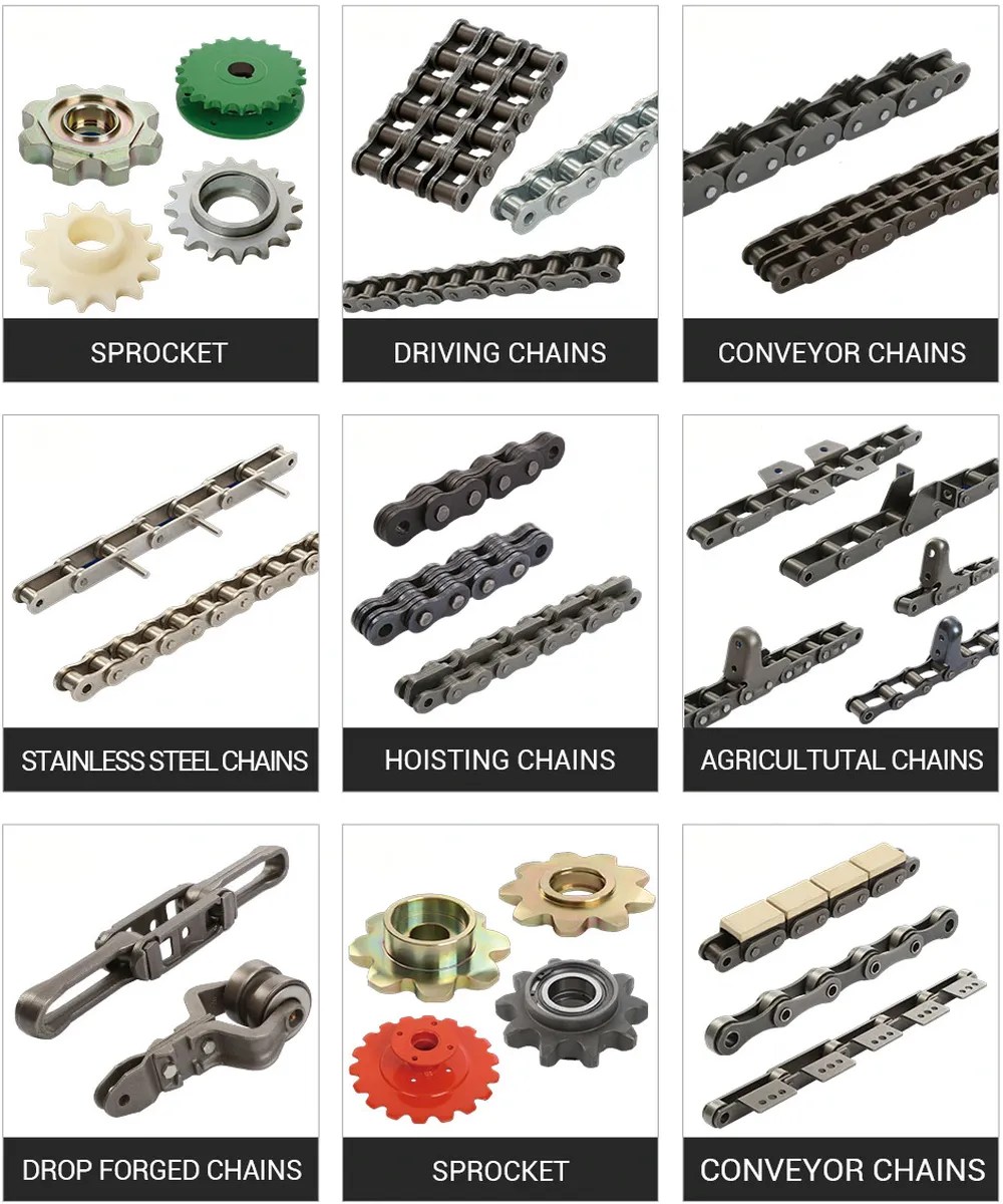 China Stainless Steel Flat Top Chains Supplier/Manufacturer/Factory