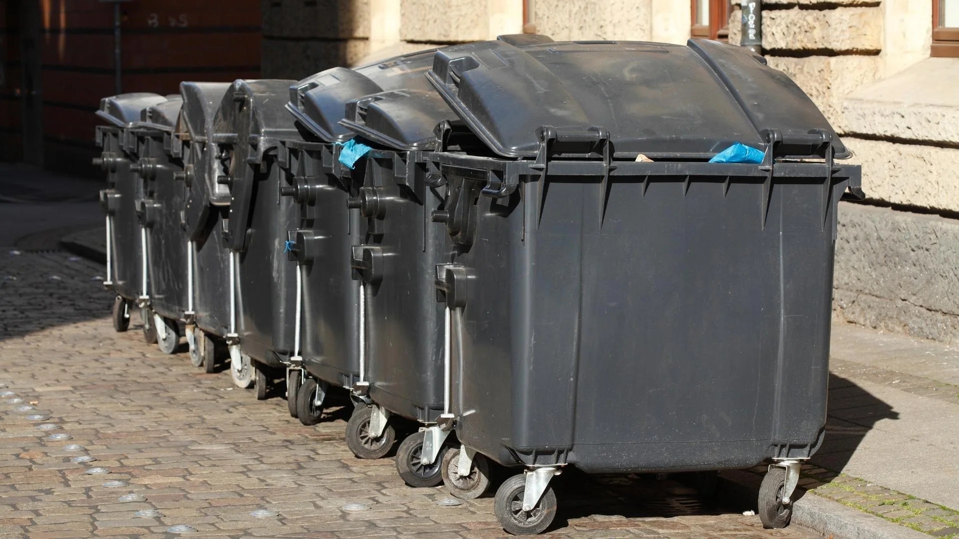 Why Commercial Waste Disposal Is Essential For Your Business