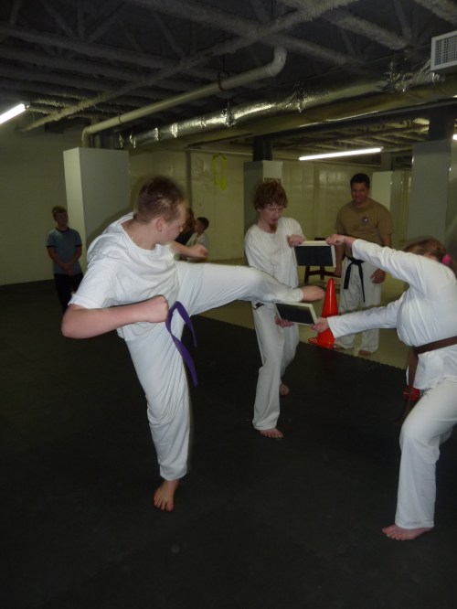 Basic Information World Martial Arts Academy of