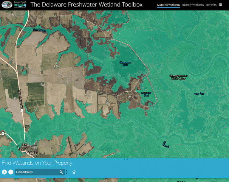 Know Before You Buy. Does the Delaware property contain wetlands?