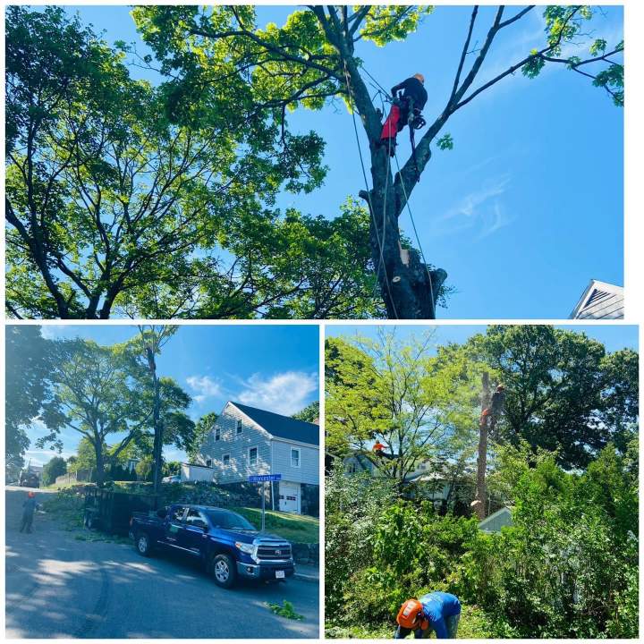 Best Front Yard Landscaping in Lynn, MA