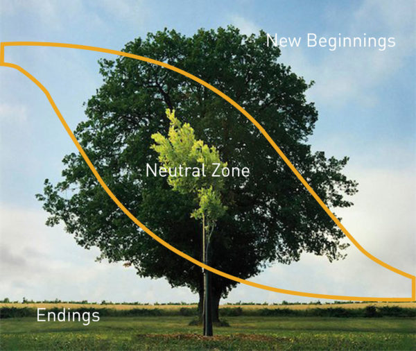 What is William Bridges' Transition Model? William Bridges Associates