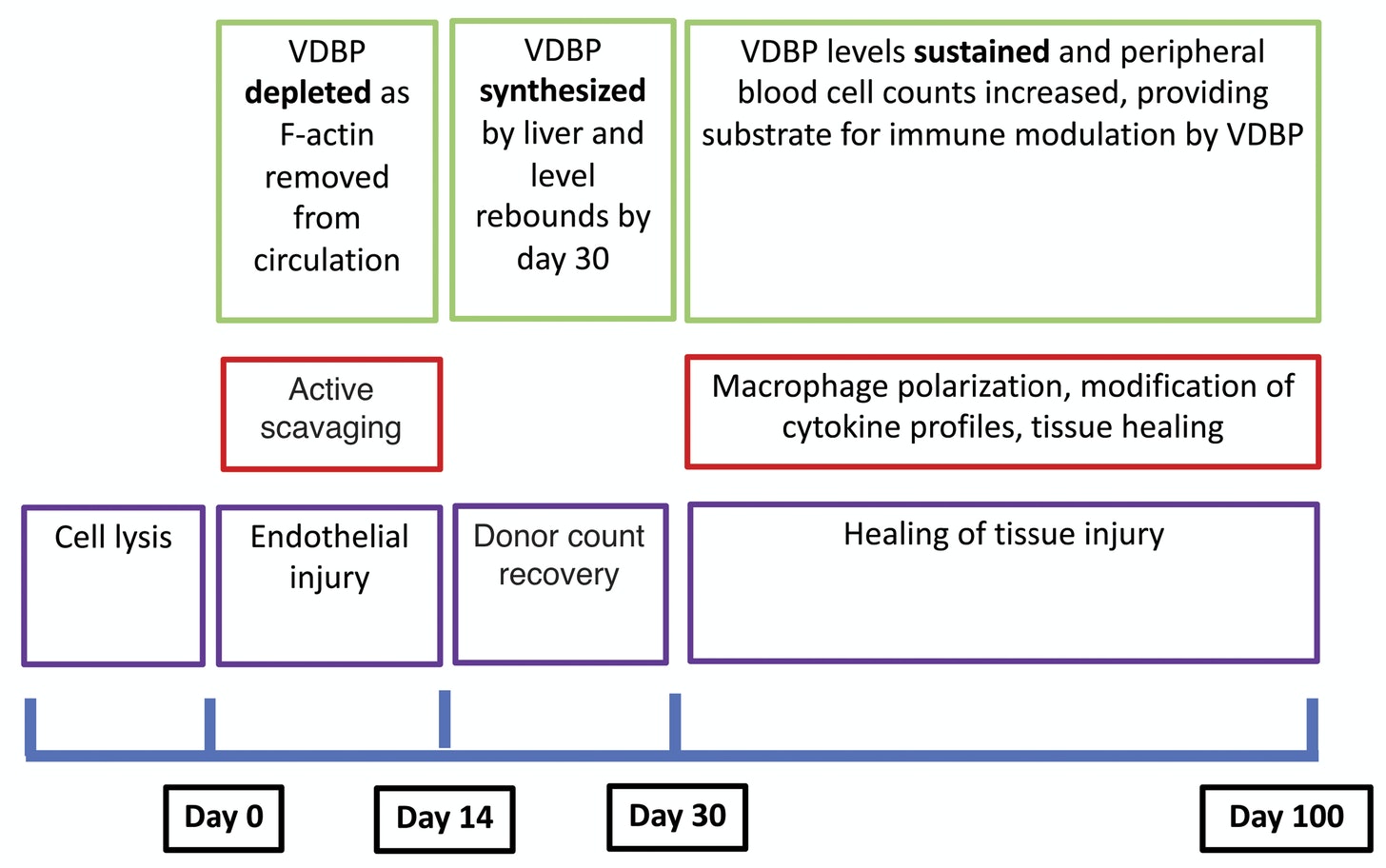 THE SPIKE PROTEIN AND HEMATOPOIETIC STEM CELL LYSIS WMC Research