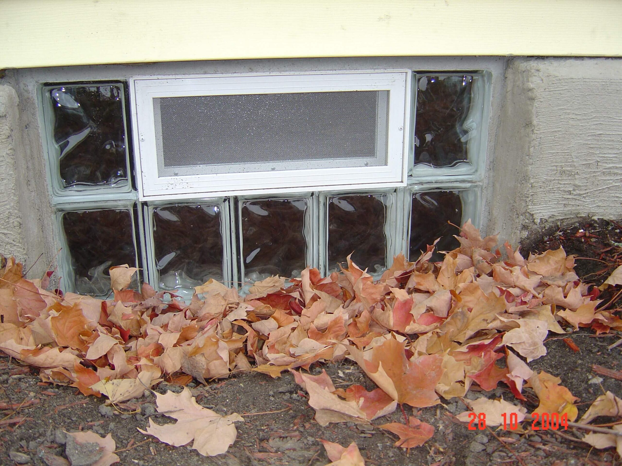 Why Do Basements Have Windows WMGB Home Improvement Wyoming, MI