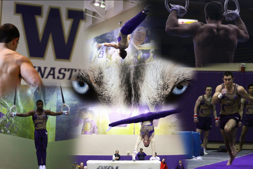 Washington Men's Gymnastics Home of Washington Huskies men's