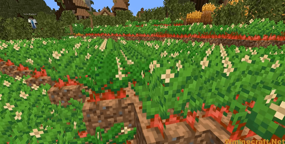 Stay True Resource Packs 1.16.5 Edit default texture