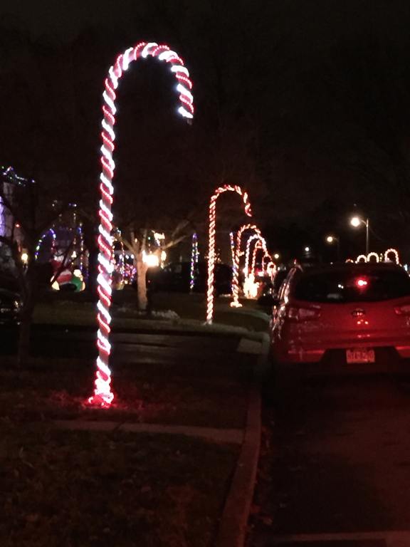 Kathy Romano's 2017 Holiday Activities List