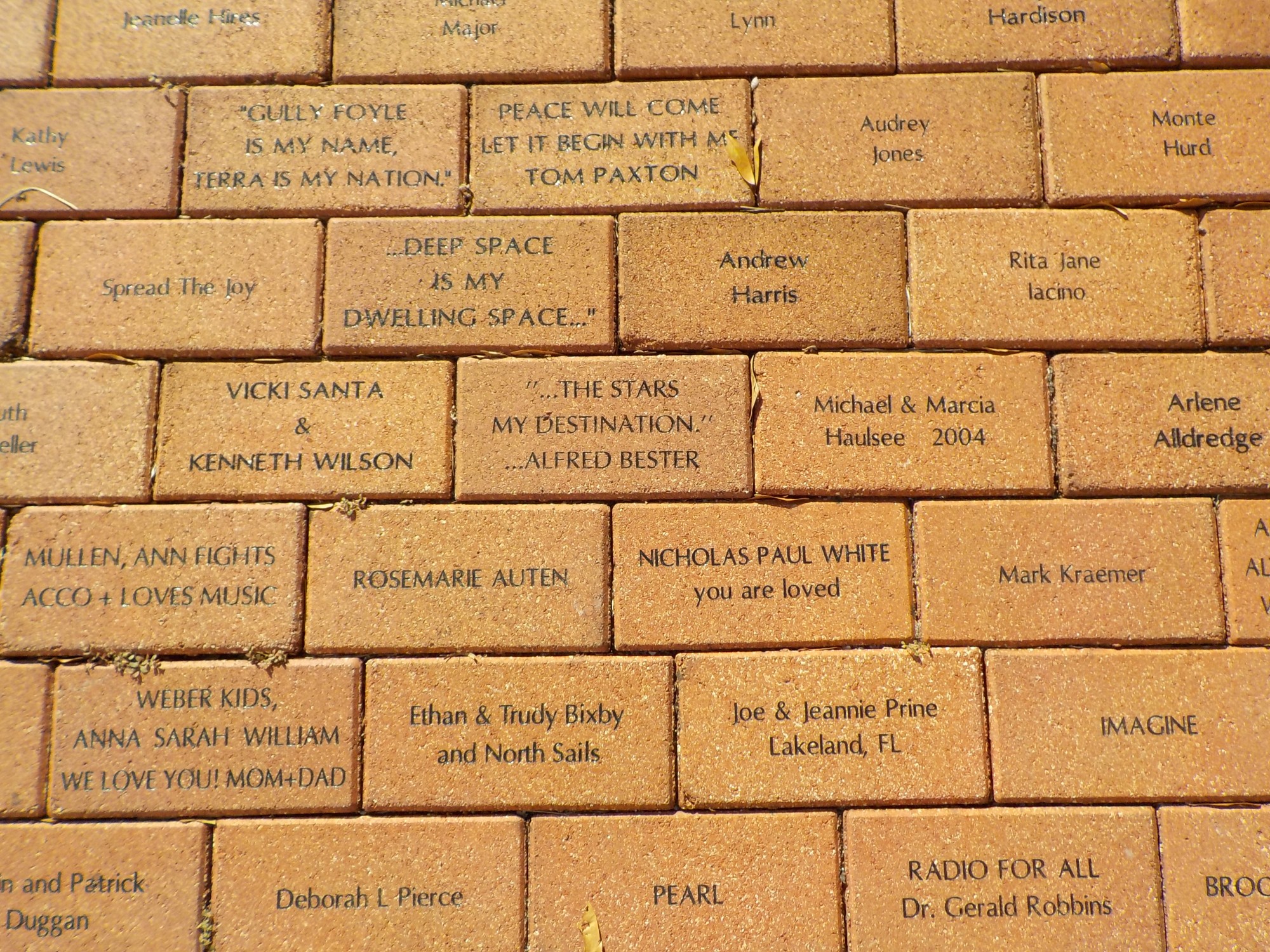 WMNF WMNF RadioActive Donations Pictures of our People's Patio WMNF