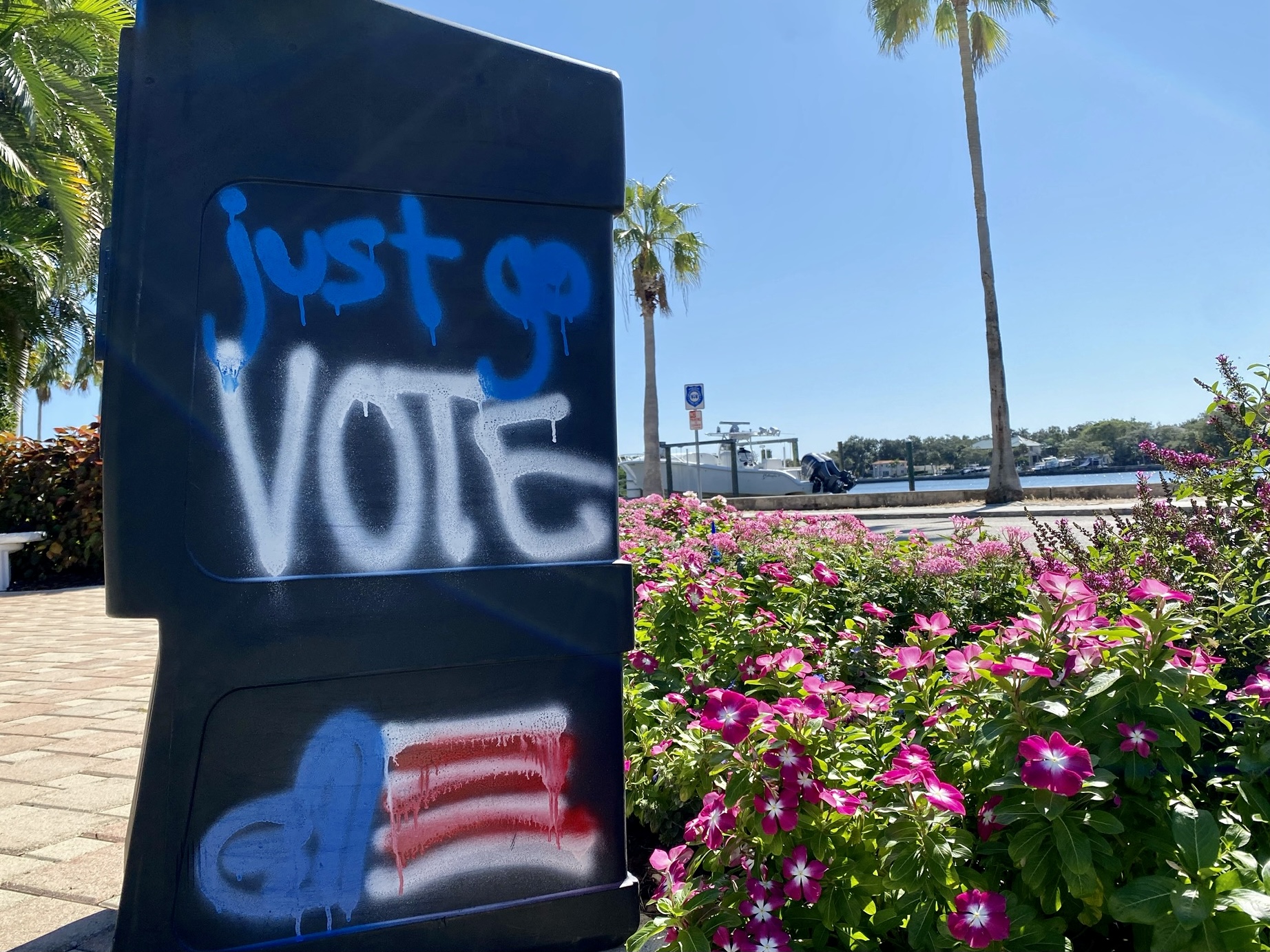 WMNF After record early voting, Election Day turnout looks light in