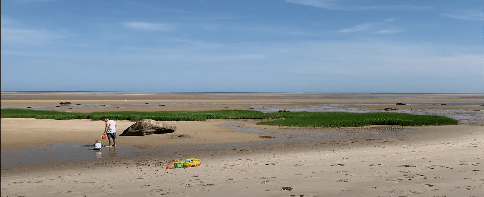 Exploring Cape Cod Tide Pools