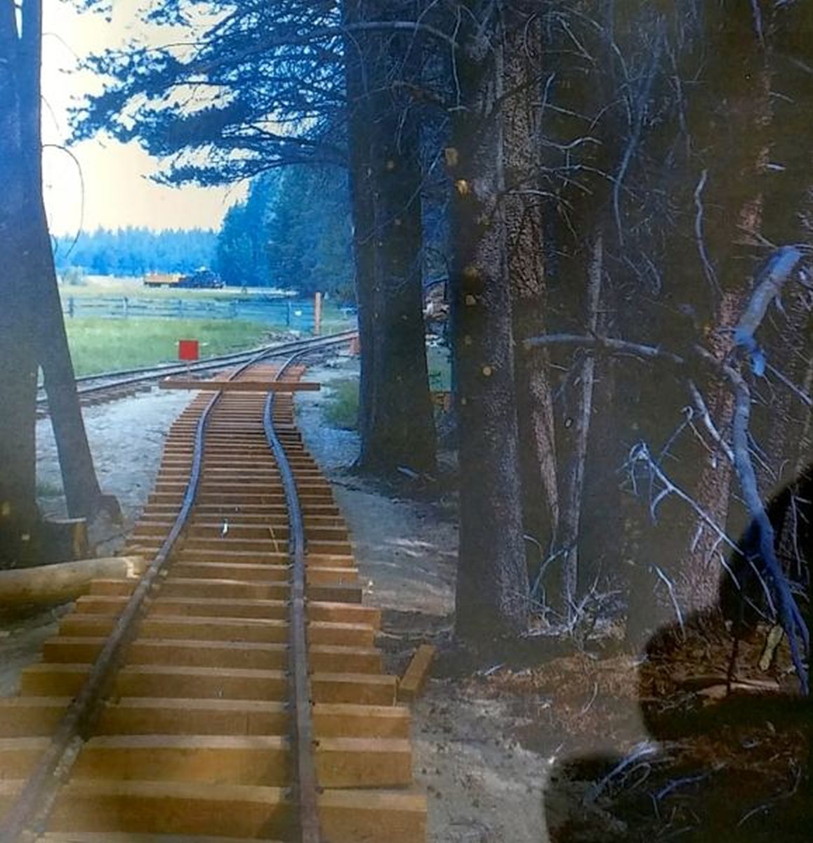 Tahoe Trout Creek & Pacific Railroad Photo Details The Western