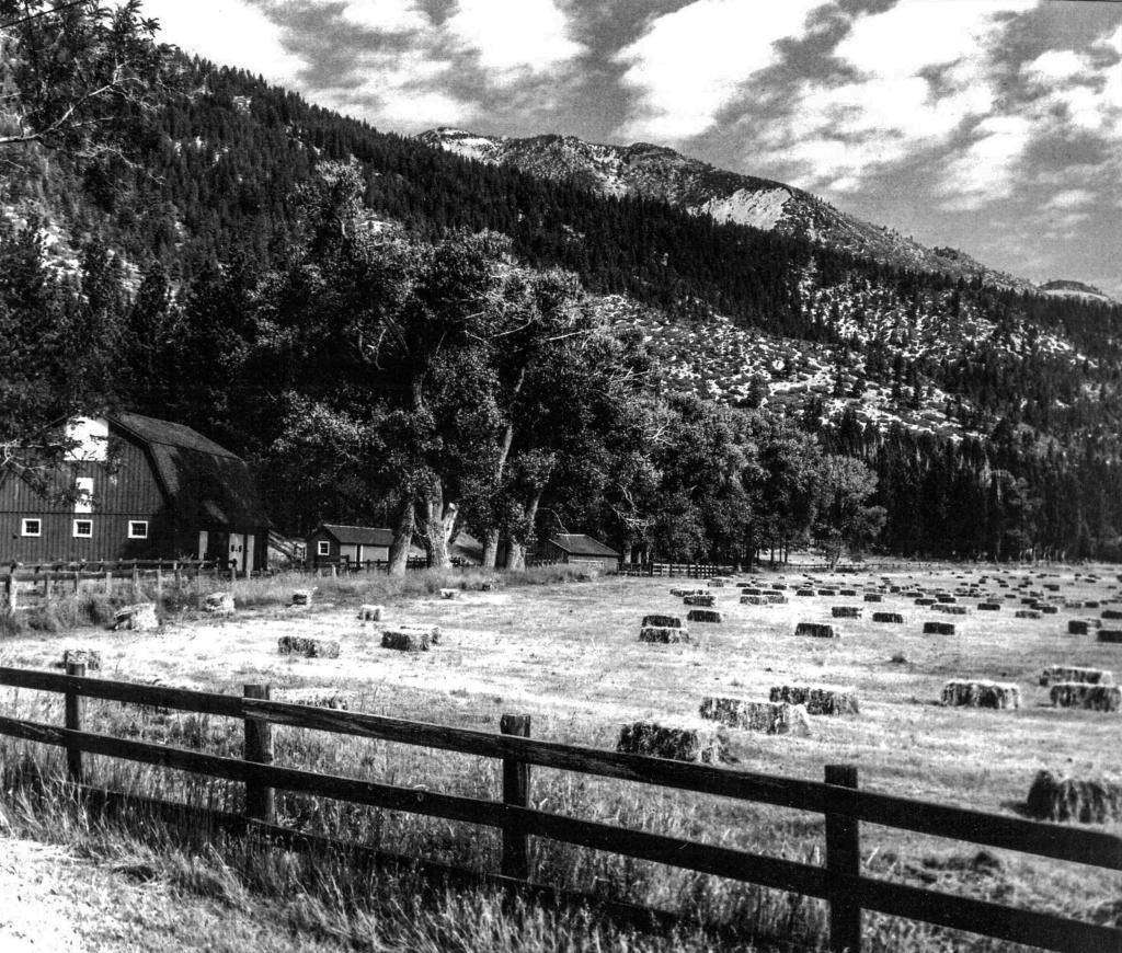 Washoe Valley Photo Details The Western Nevada Historic Photo