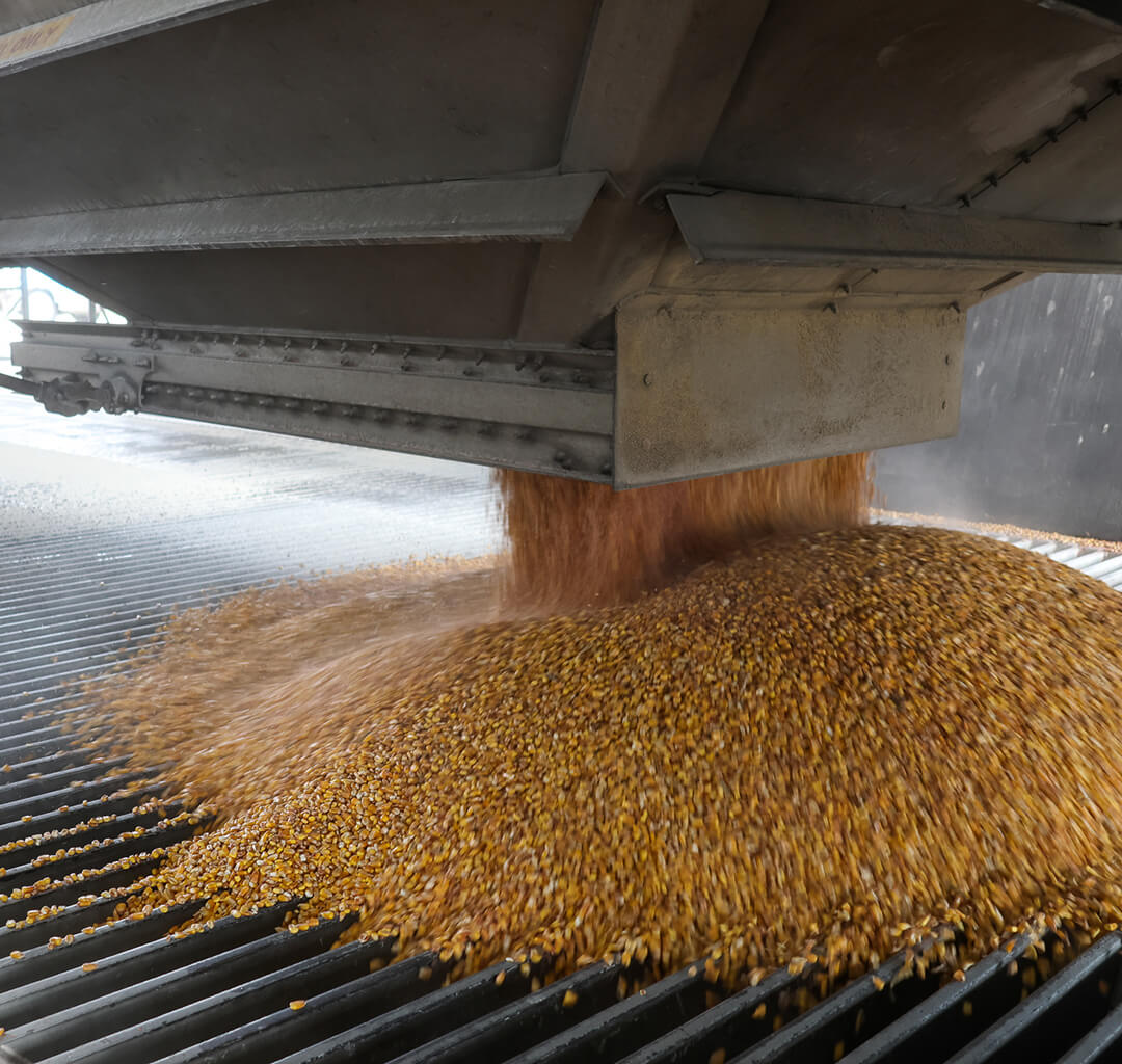 Corn Bids Western New York Energy