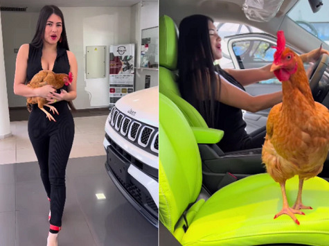 Queen of OnlyFans verleiht ihrer Henne, die die “goldenen Eier“ gelegt