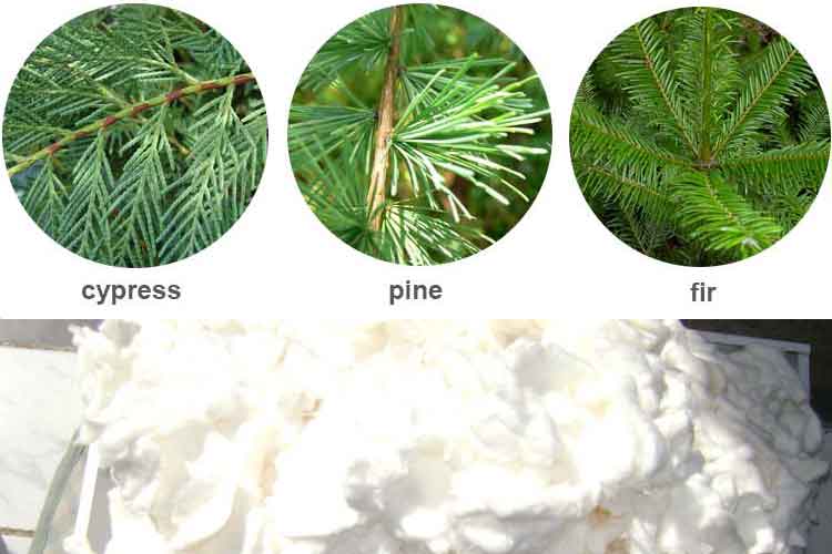 Difference between pulp made from hard wood and soft wood Woditex