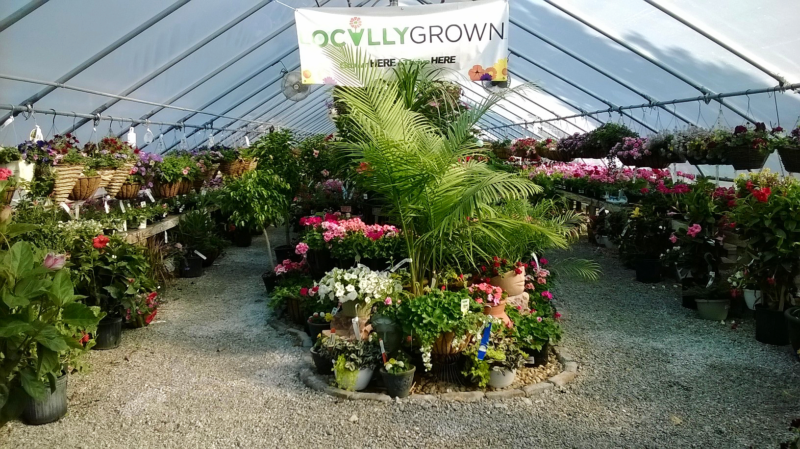 Annuals Landscaping MaterialSaint CharlesWentzvilleWorld Outdoor