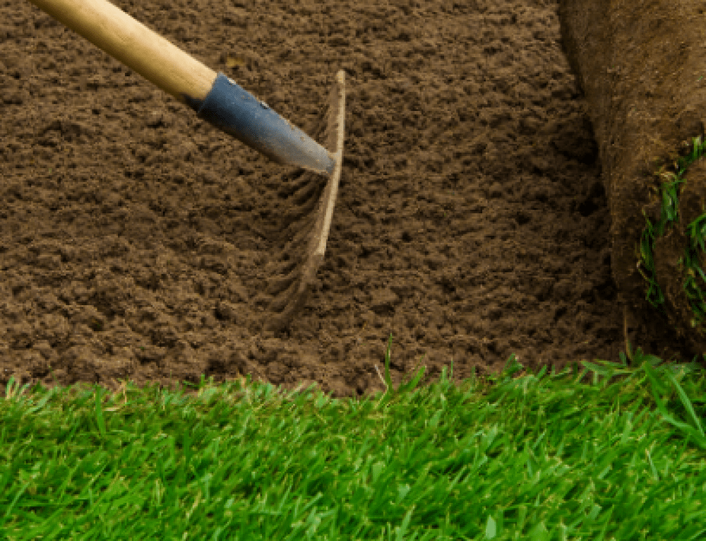 Caring For New Sod Woerner Turf