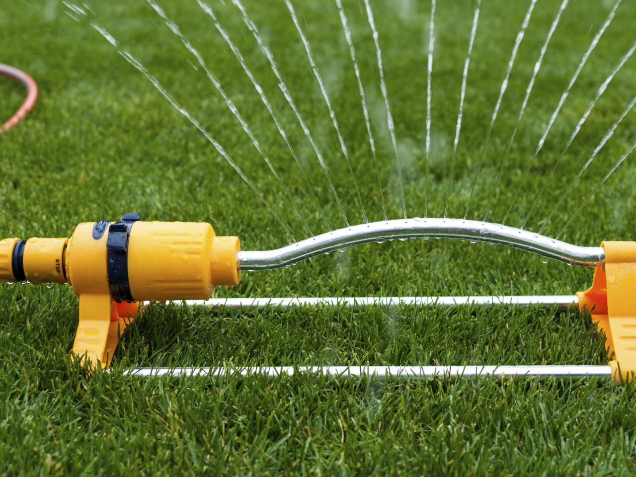 How to Properly Water Your Lawn During the Summer
