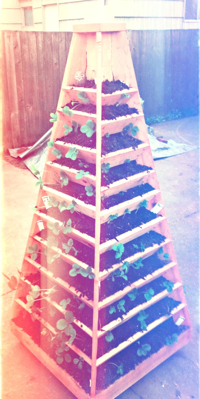 DIY-Pflanzenturm – wohnbu.de