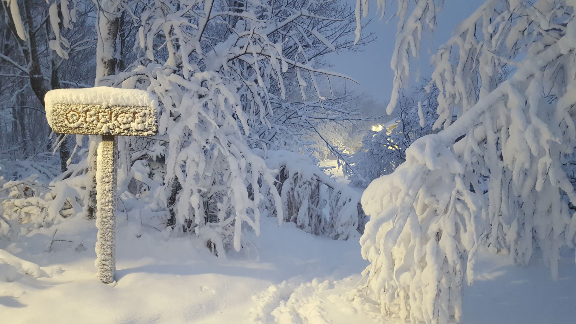 Wolf Ridge weather station facts for December 2022