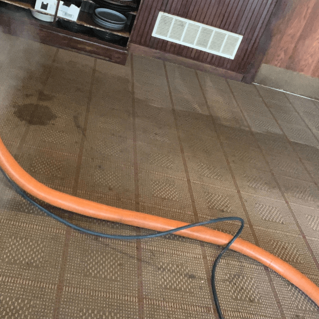 Gallery Wolf Bro Carpet Cleaners