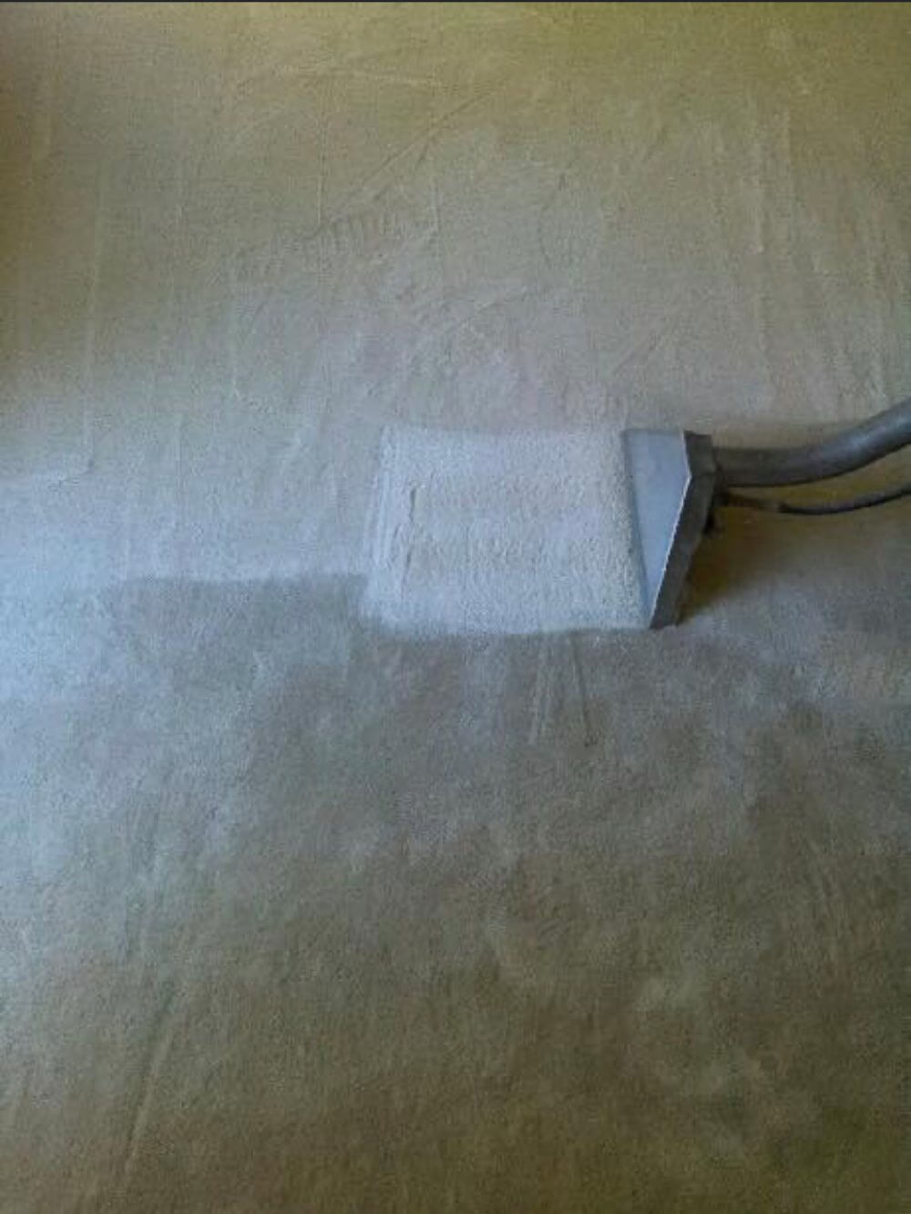 Gallery Wolf Bro Carpet Cleaners